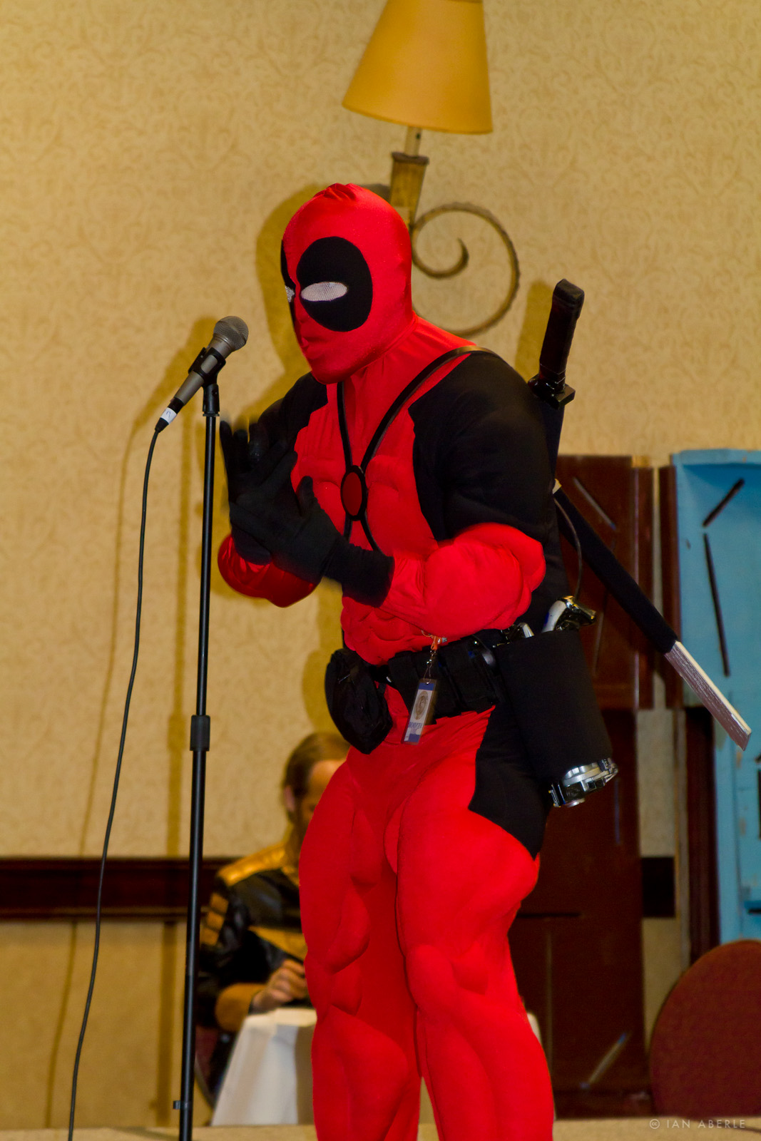 Deadpool_5563622210_o.jpg