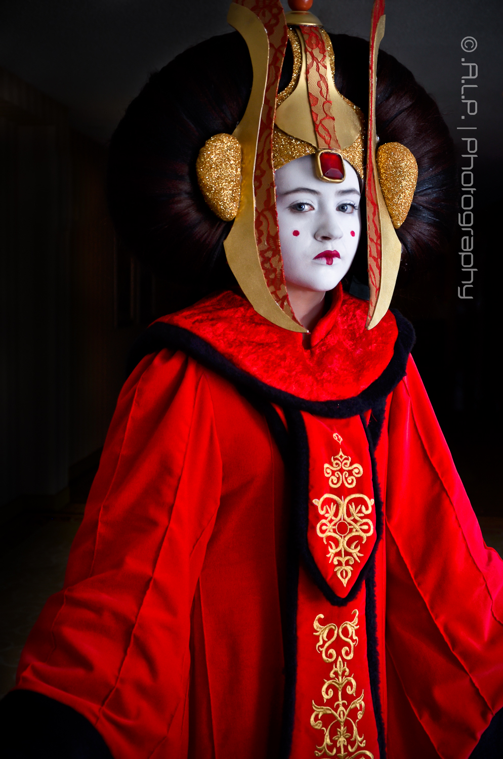 AllCon2013-9_8556512348_o.jpg