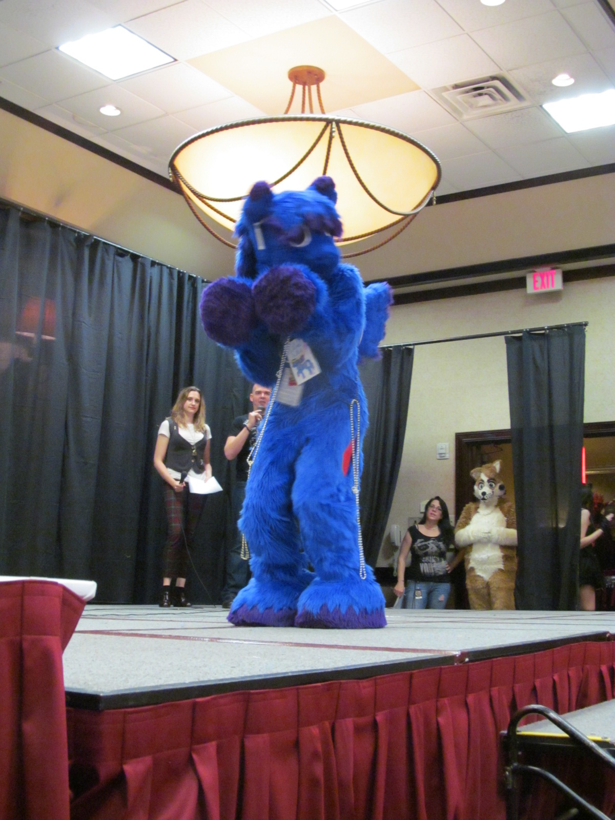 IMG_3031_8544383138_o.jpg