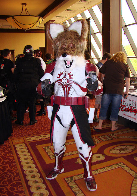 allcon082.jpg