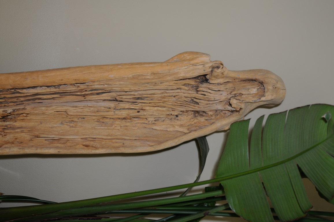 DSC_1095.jpg