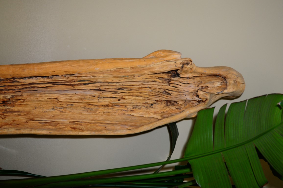 DSC_1096.jpg