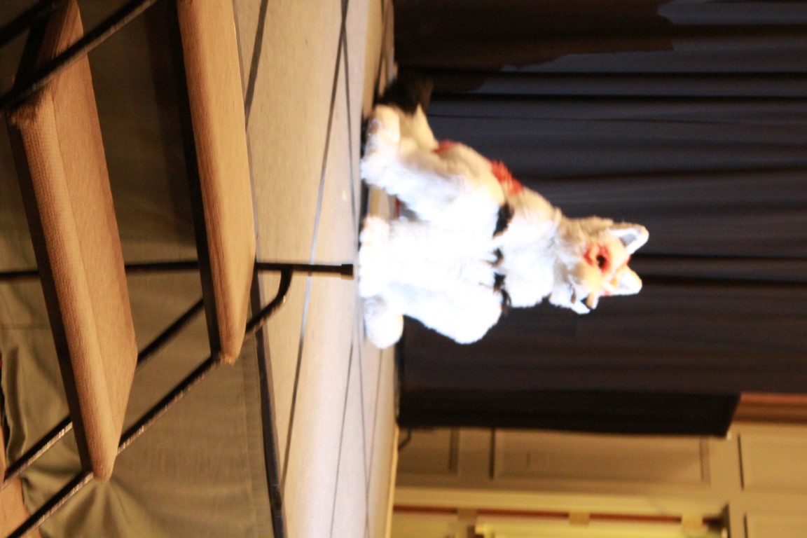 IMG_0048.jpg