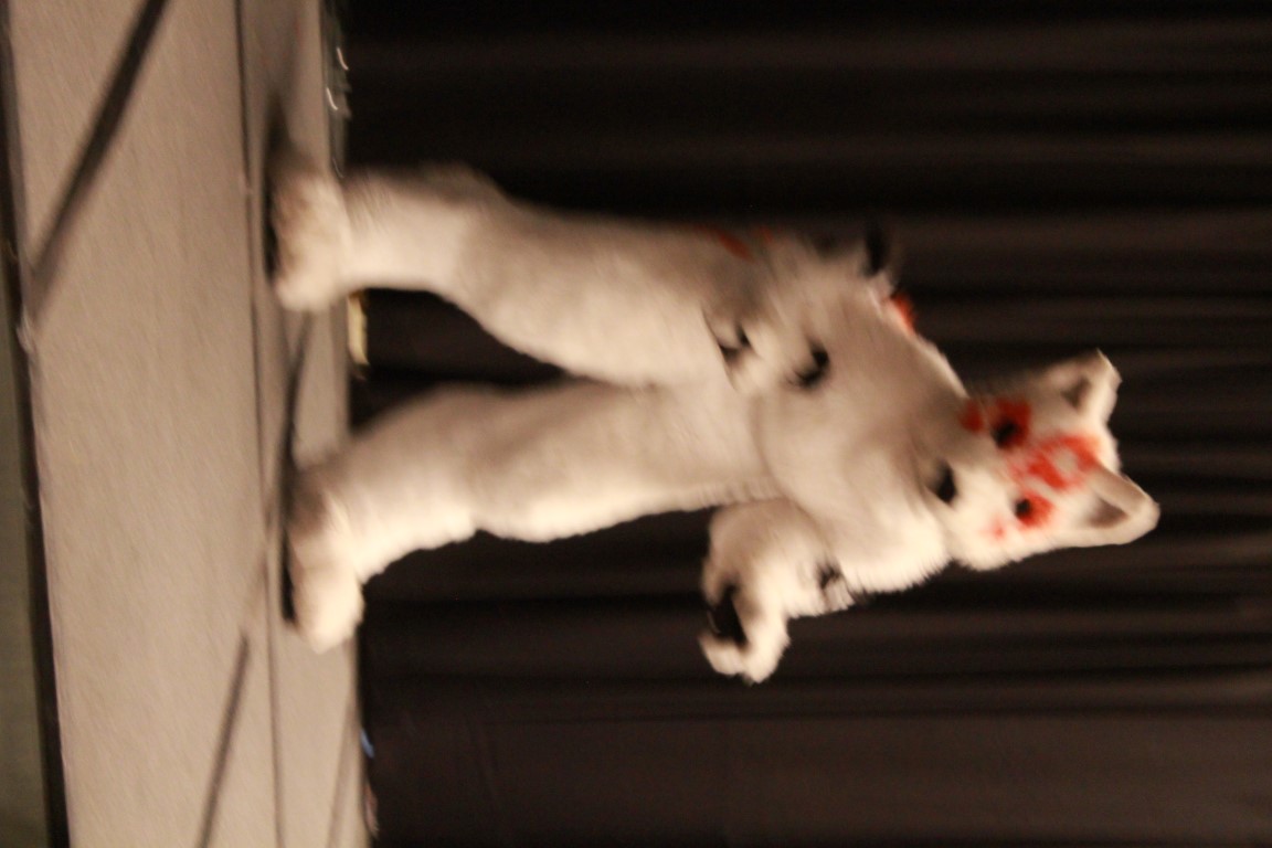 IMG_0049.jpg