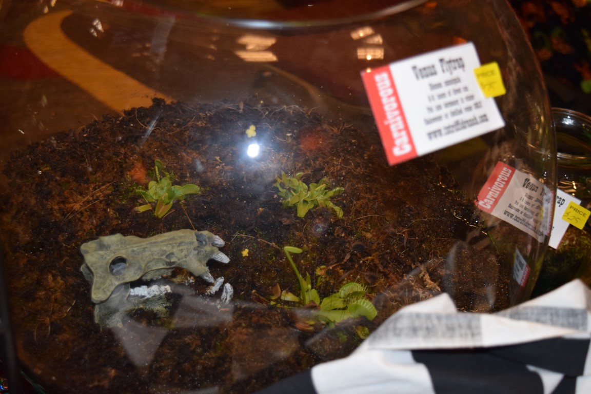 DSC2A843.jpg