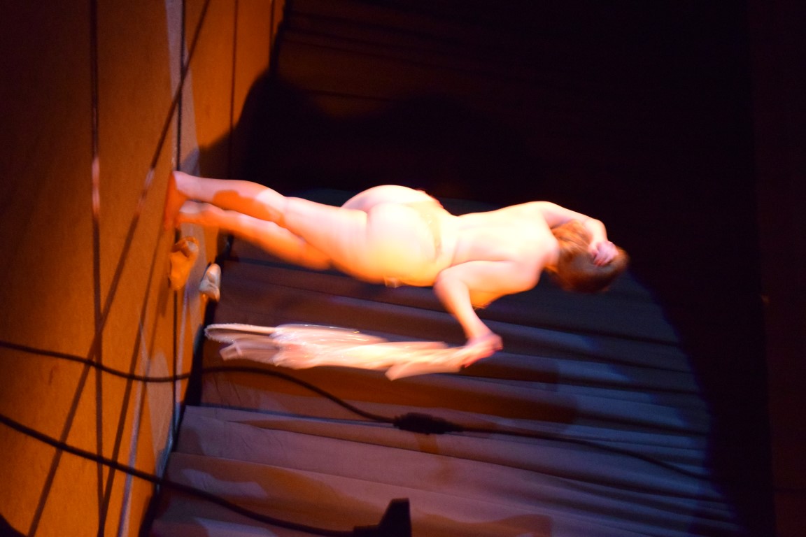 DSC2B100.jpg