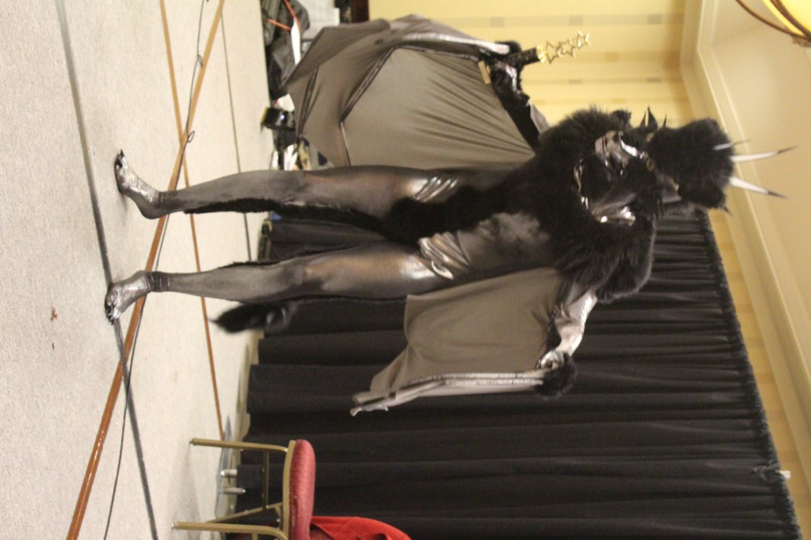 IMG1B096.jpg