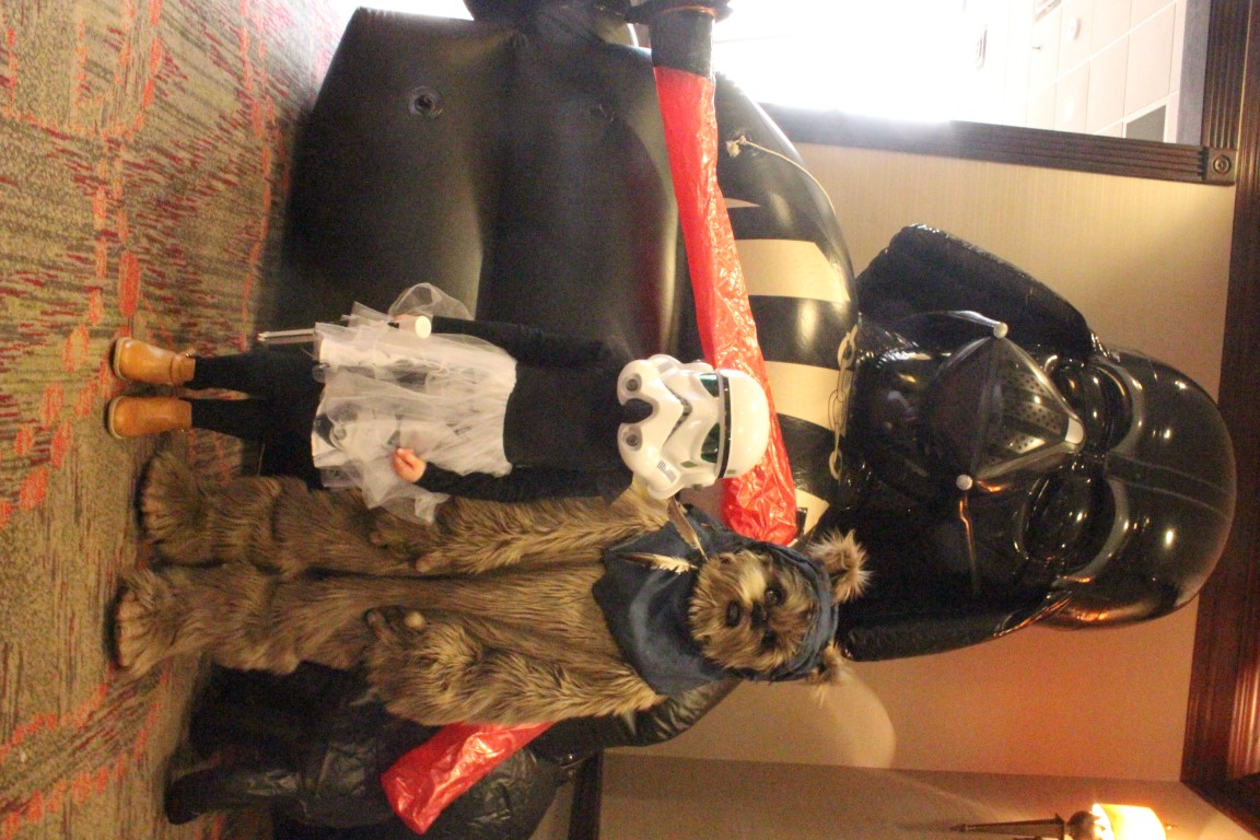 IMG3C001.jpg
