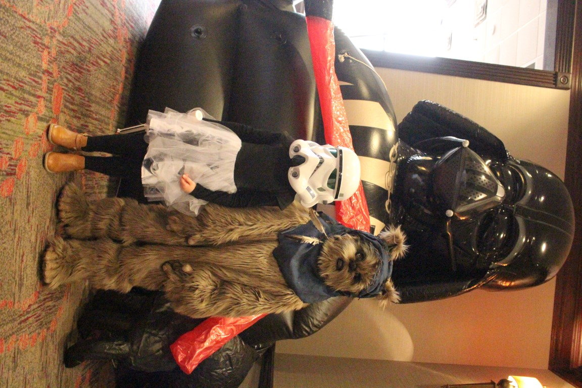 IMG3C002.jpg