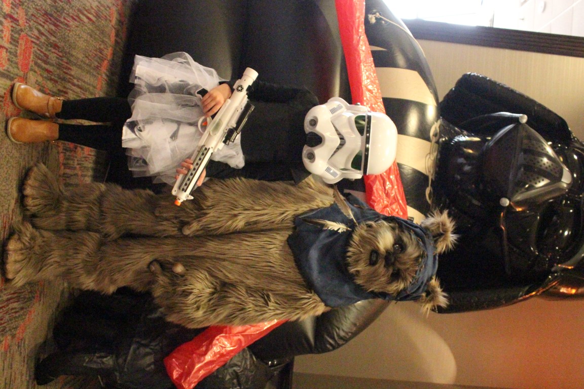 IMG3C004.jpg