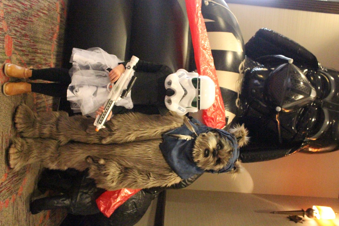 IMG3C006.jpg