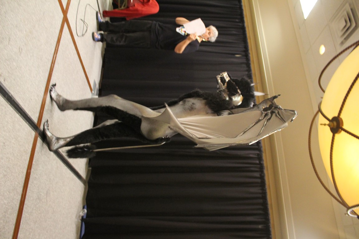 IMG3C091.jpg