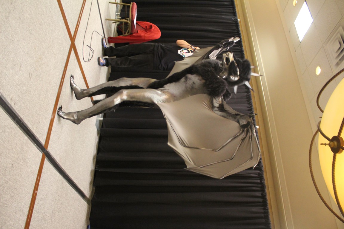 IMG3C092.jpg
