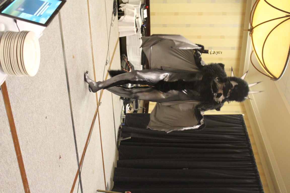 IMG3C094.jpg