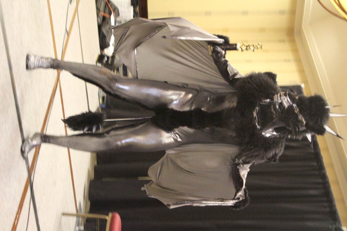 IMG3C095.jpg