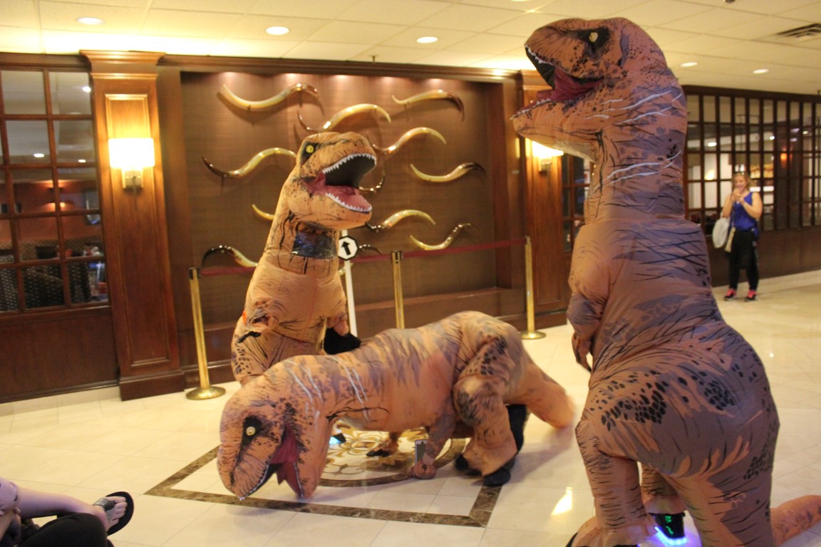 IMG3C151.jpg