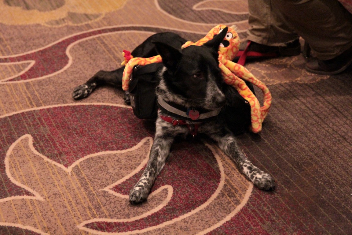 IMG3C556.jpg