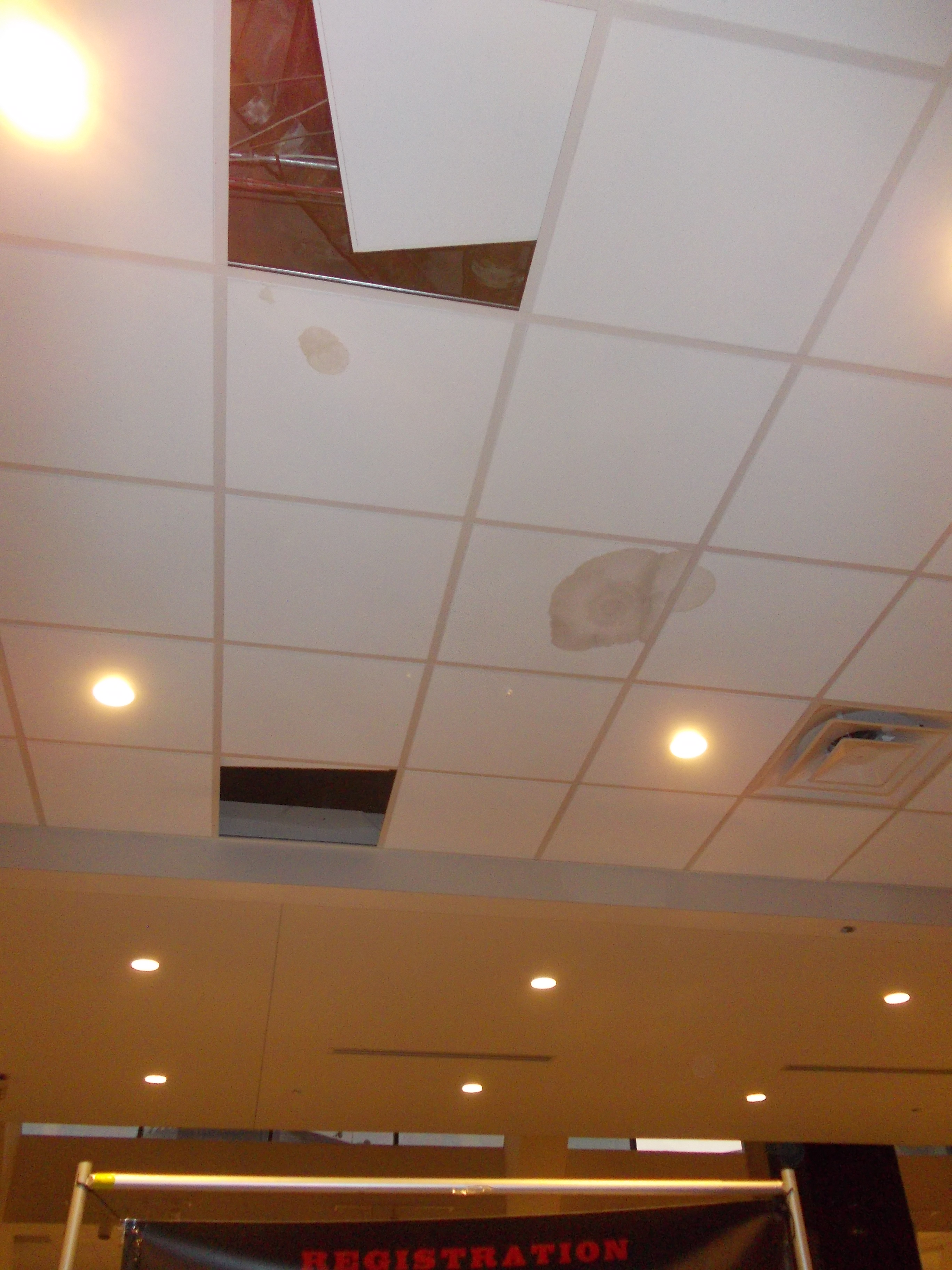 DSCN3025.JPG