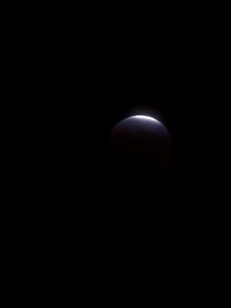 008924.jpg