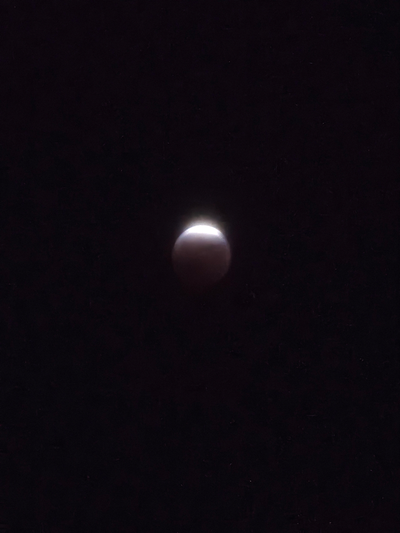 009251.jpg