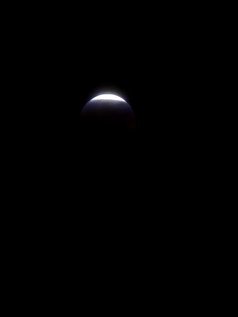 009574.jpg