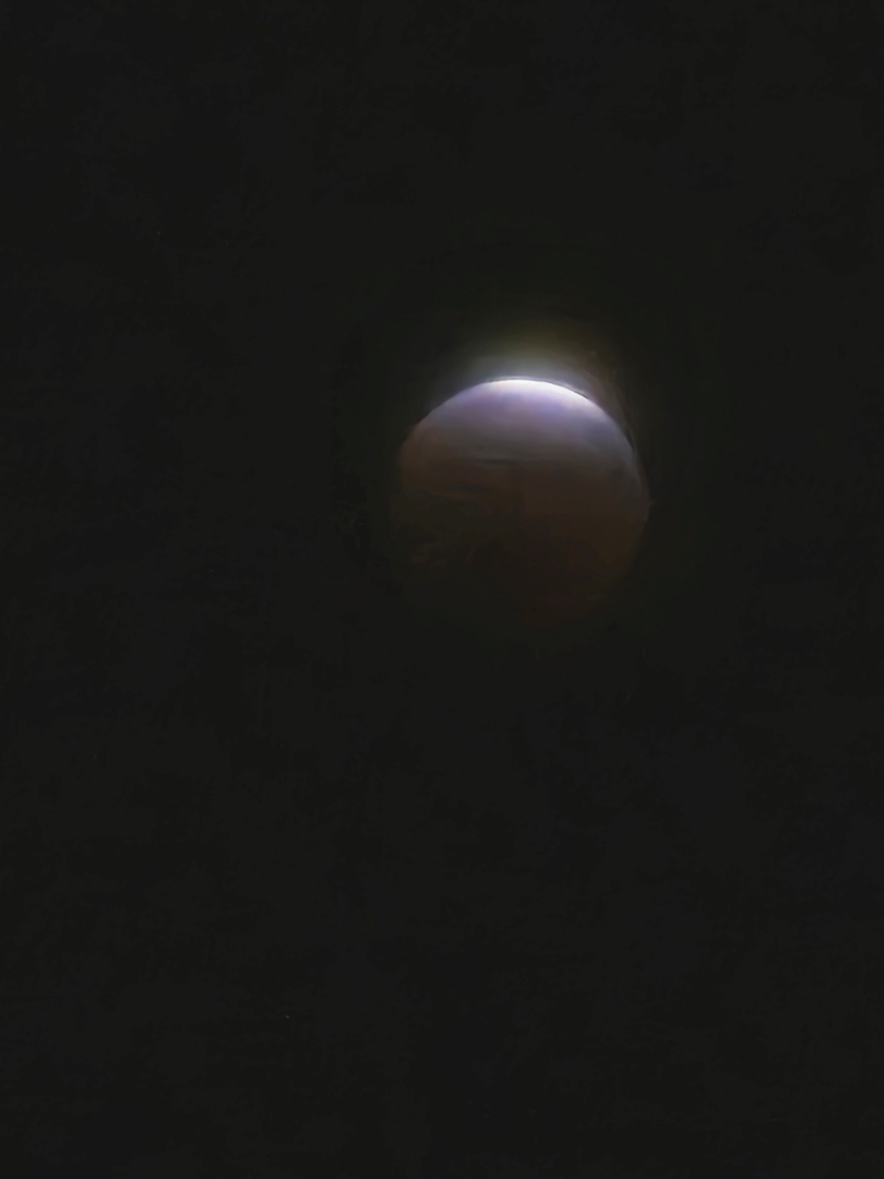 009681.jpg